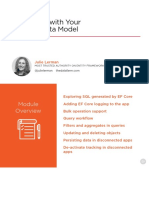 Interacting With Your EF Core Data Model: Julie Lerman