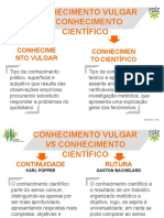 Sintese Estatuto Conhecimento Cientifico