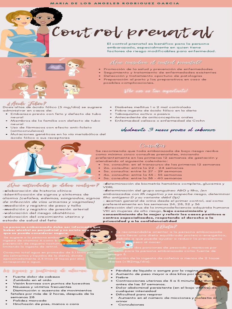 Control Prenatal (Cartel) PDF Vitamina a El embarazo