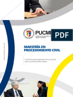 Maestría en Procedimiento Civil