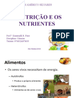 Alimentos e Nutrientes