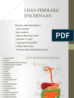 ANATOMI - DAN - FISIOLOGI - SISTEM - PENCERNAAN Kelompok 3