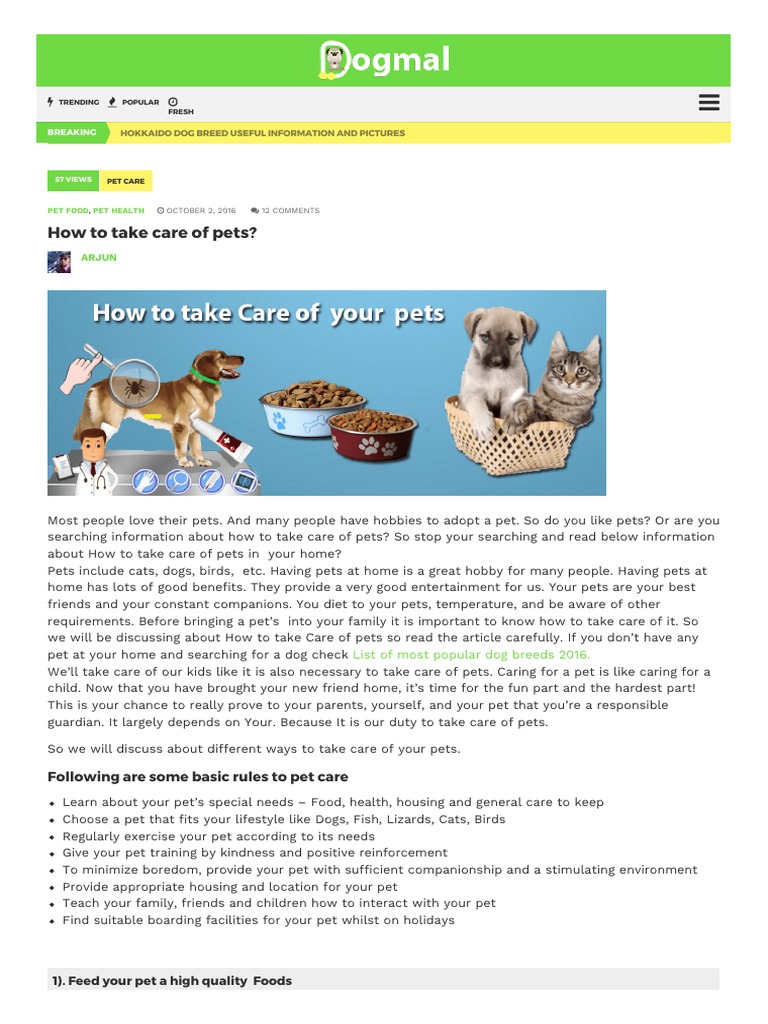 How To Take Care of Dog PDF Pet Dogs