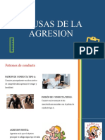 Causas de La Agresion