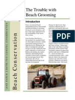 Beach Conservation - Beach Grooming