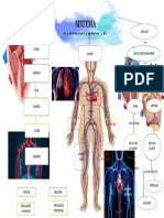 Sistema Cardiovascular