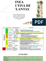 TRABAJO LINEA EVOLUTIVA DE LAS PLANTAS