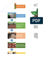 diagrama de proceso de cacao