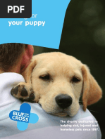 Caring For Your Puppy