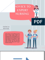 Novice To Expert Nursing