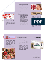 Leaflet Anemia