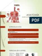 Anatomía Clase O1