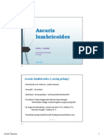 Ascaris Lumbricoides FF