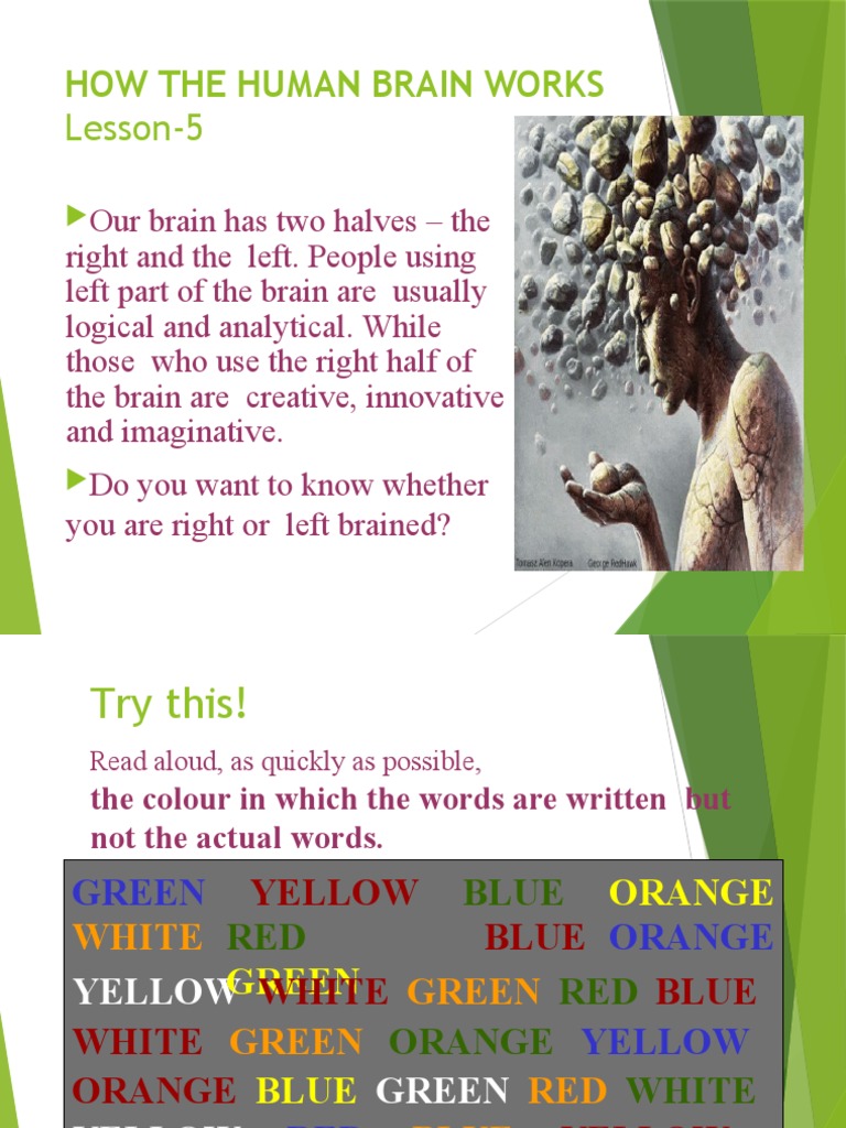 Understanding Left vs. Right Brain Functions | PDF | Lateralization Of ...