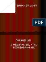 Pertemuan IV Dan V Organel Sel Biomembran Atau Membran Sel