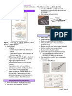 BIO4141L-Activity 2 Part 2-Reviewer (Part 1)