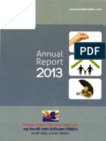 PADMALIFE-Annual Report - 2013