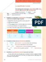 Deteminante e Quantificador Numeral Solução