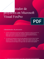 Administrador de proyectos Microsoft Visual FoxPro