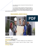 Ingenieria Industrial