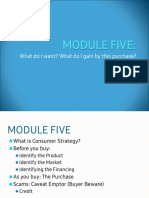 Module 5 Consumer Strategy