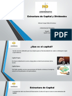 Estructura de Capital y Dividendos