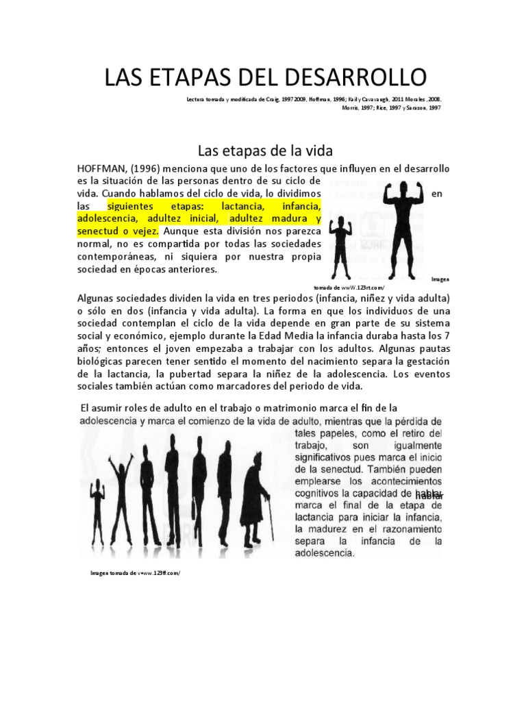 Etapas del Desarrollo Humano | PDF | Adultos | Vejez