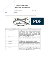 Figo Mahendra Susetyo - 19 - XII MIPA 7 - Anabolisme Dan Fotosintesis