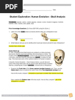 Human Evolution: Skull Analysis Lab | PDF | Homo | Human Evolution