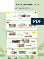 Teoria hidrodinamica