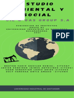 Estudio Ambiental y Social