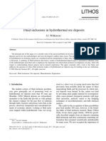 Fluid Inclusions in Hydrothermal Ore Bodys