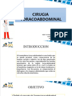 Cirugia Toracoabdominal