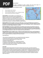Teorías Que Explican El Poblamiento de América?