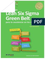 Certificación Lean Six Sigma Green - Excelencia en Los Negocios Luis Soconinni