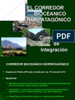 Conectividad vial y ferroviaria en el Corredor Bioceánico Norpatagónico