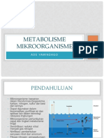 2. Metabolisme Mikroorganisme