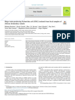 Shiga Toxin-Producing Escherichia Coli STEC Isolat