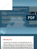 Conceptos Básicos Proyectos