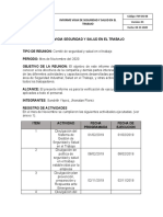 Informe Mensual Del Mes de Febrero Vigia de Seguridad