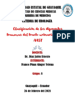 Clasificación de Los Diferentes Traumas Del Tracto Urogenital Según La Aast