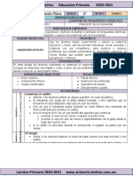 Enero - 6to Grado Educación Física (2020-2021)