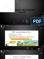 Electron Transport Chain