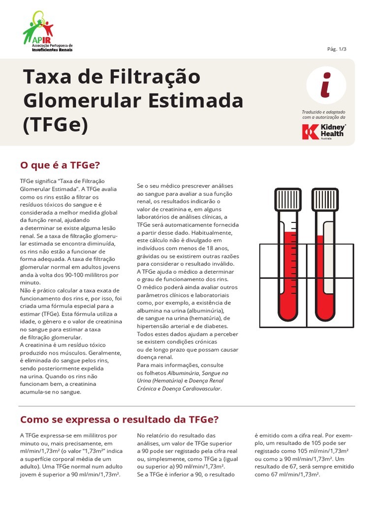 Entendendo a Taxa de Filtração Glomerular | PDF | Doença renal crônica ...