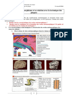 Le Metamorphisme Et Sa Relation Avec La Tectonique Des Plaques Cours