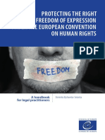 Protecting-right-freedom-expression_ENG.pdf