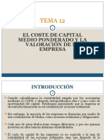 Intro Finanzas - Tema 12