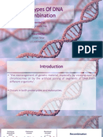 Various Types of DNA Recombination: Presented To: Dr. Tanzeela Riaz