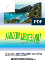 Macchia Mediterranea