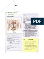 5ª Atividade de Biologia- 3º ano- Anexo